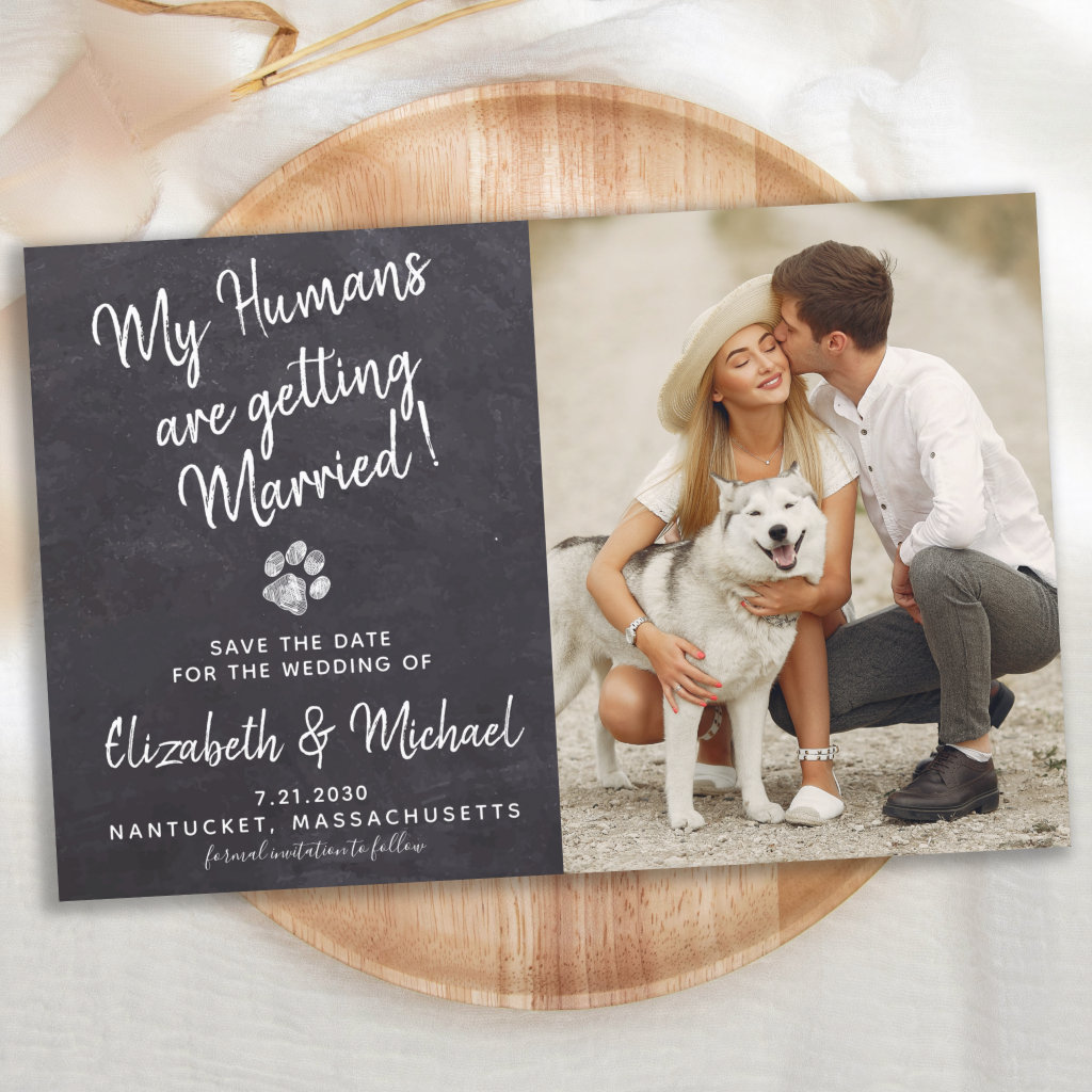 Rustic Pet Wedding Dog Save The Date Cards Budget