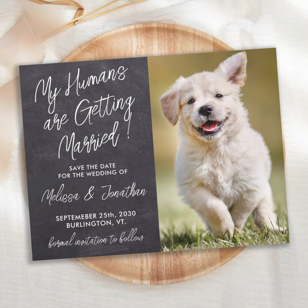 Rustic Pet Wedding Custom Photo Dog Save The Date Announcement Postcard