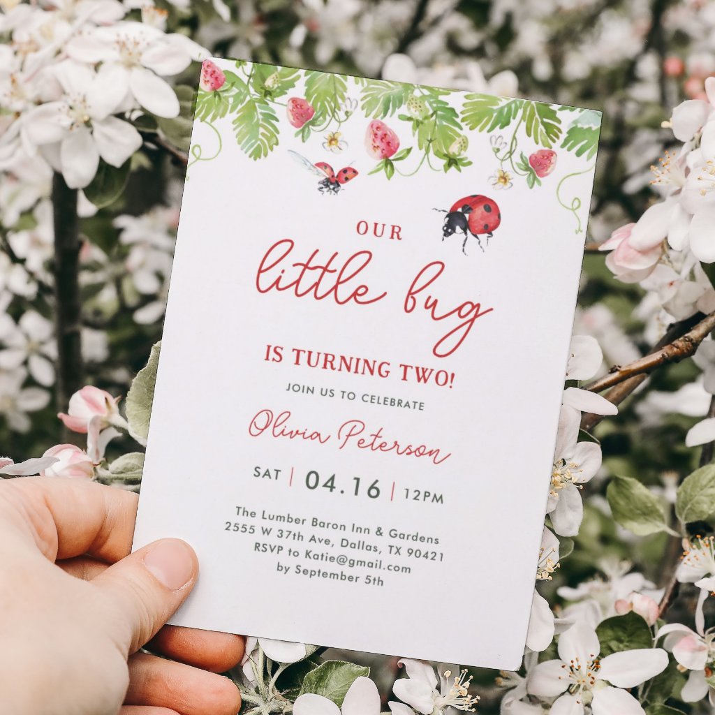 Our Little Ladybug Girl Birthday Party Invitation